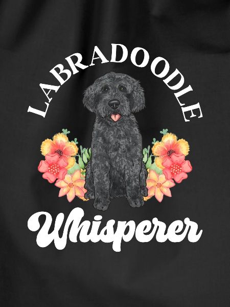Labradoodle Dog