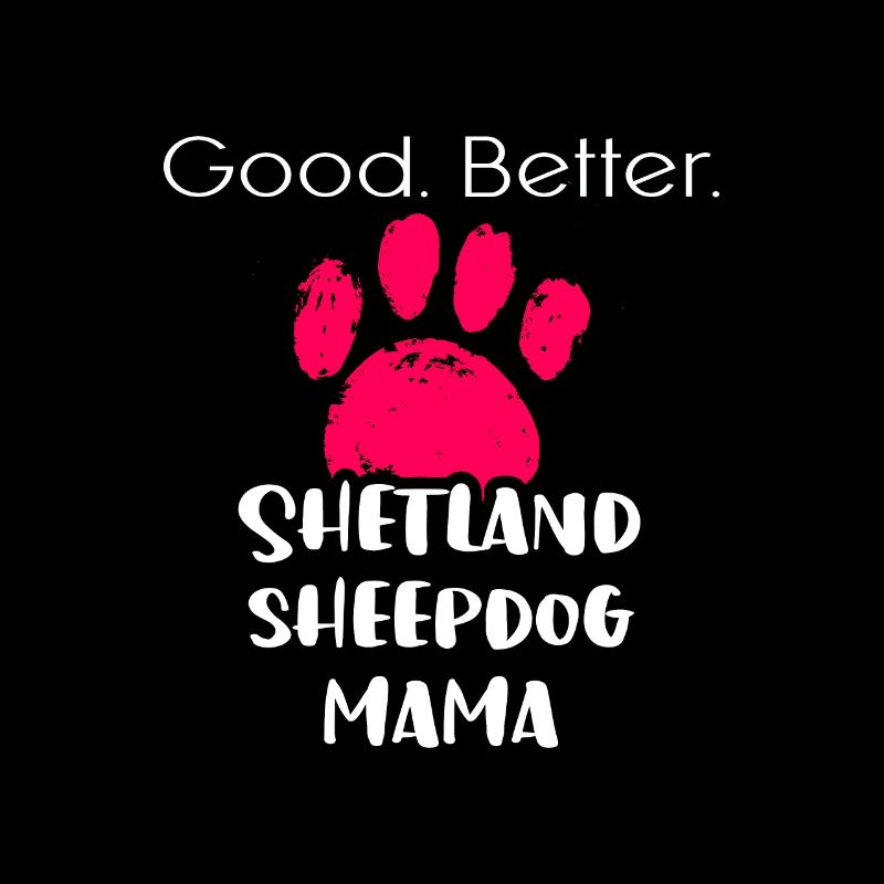 Shetland Sheepdog