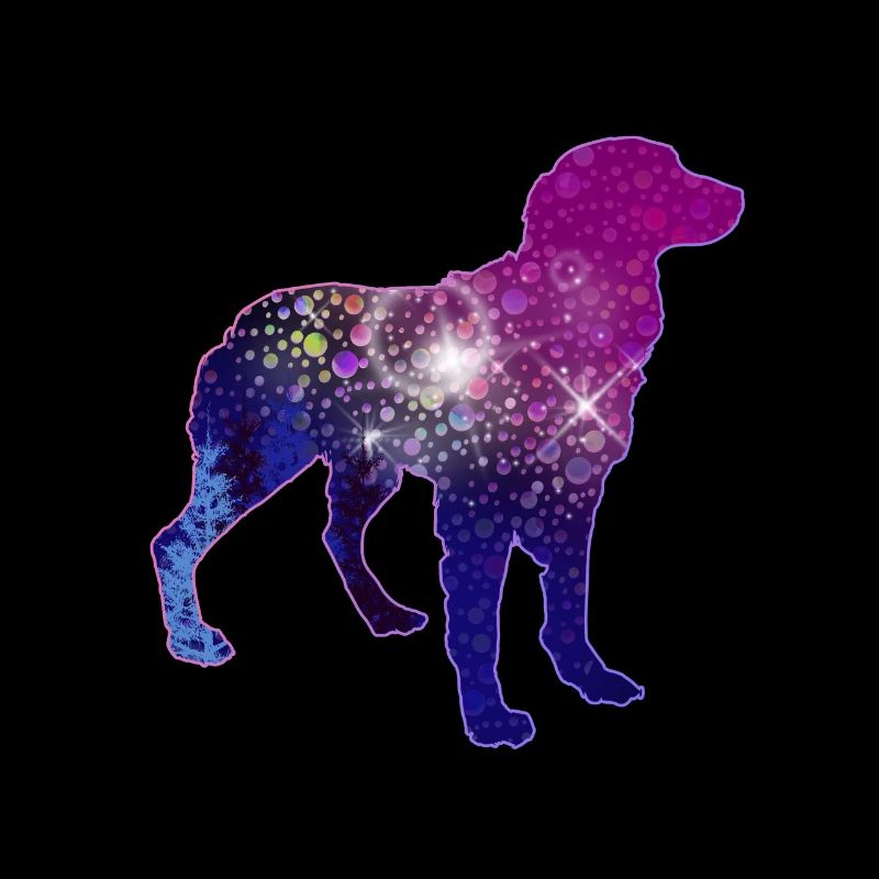 Bunter Hund