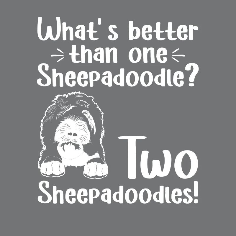 Sheepadoodle Doodle Dog
