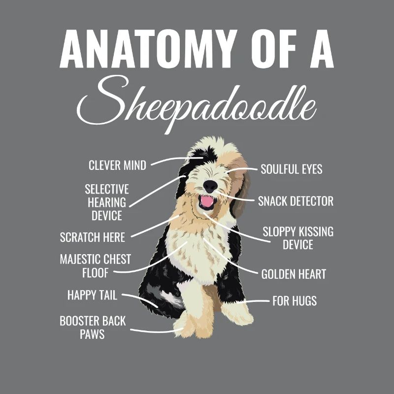 Sheepadoodle Doodle Dog