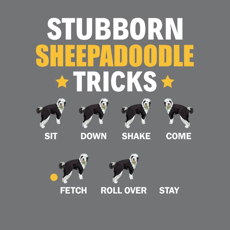 Sheepadoodle Doodle Chien
