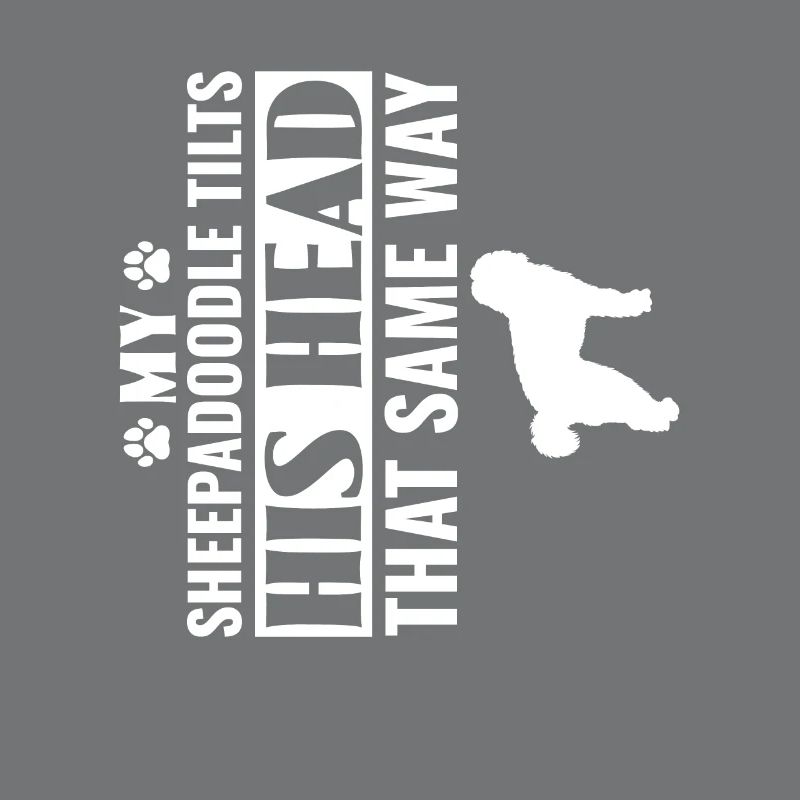 Sheepadoodle Doodle Chien