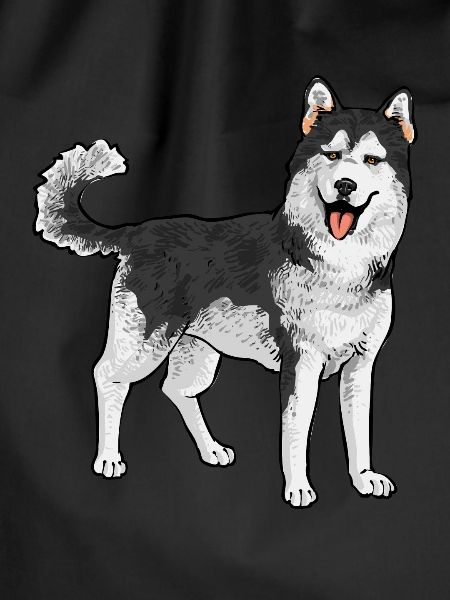 Alaskan Malamute Dog