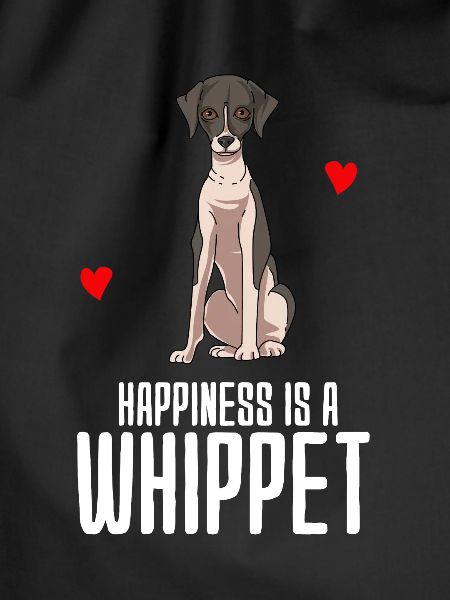 Whippet