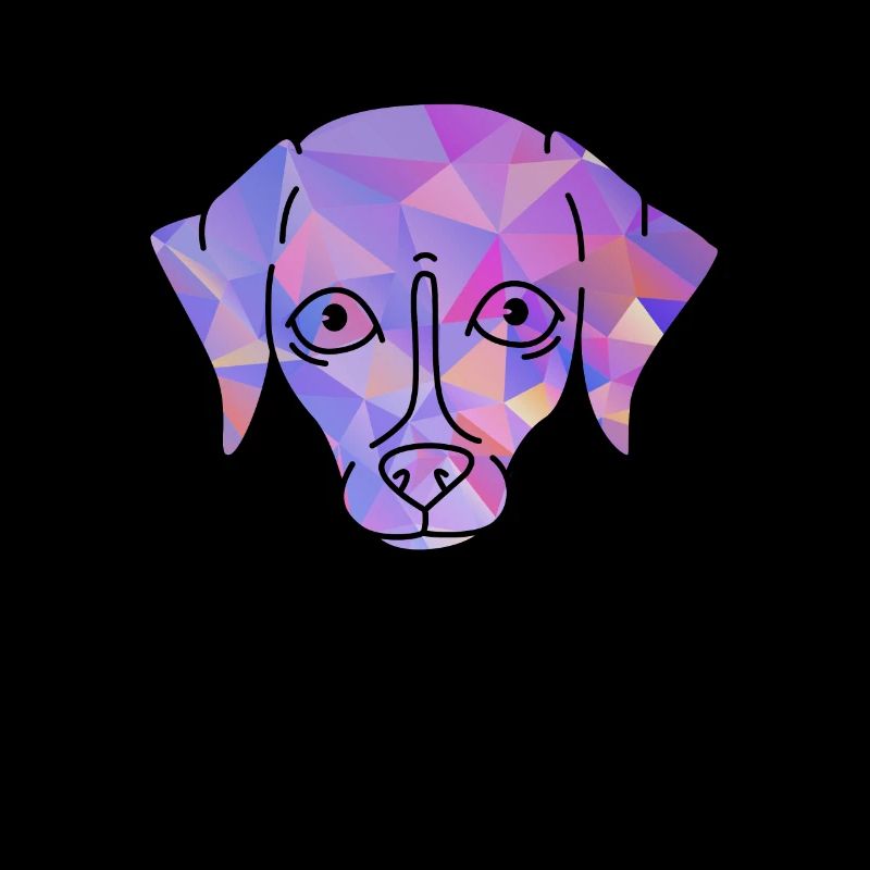 Whippet