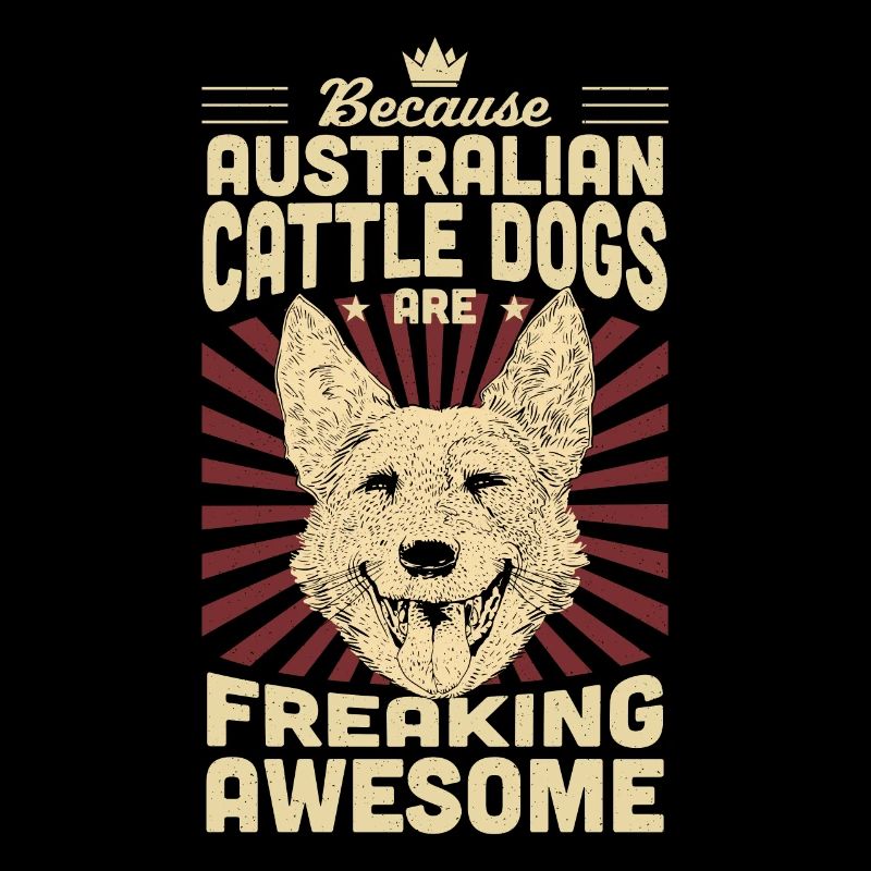 Australian Cattle Dog
