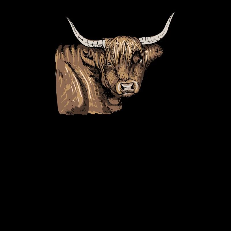 Bovins Galloway I Ecosse élevage bovin pour