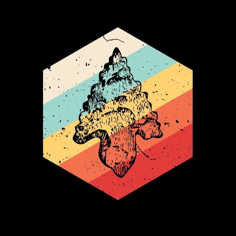 Arrowhead Hunting Artifacts Archery