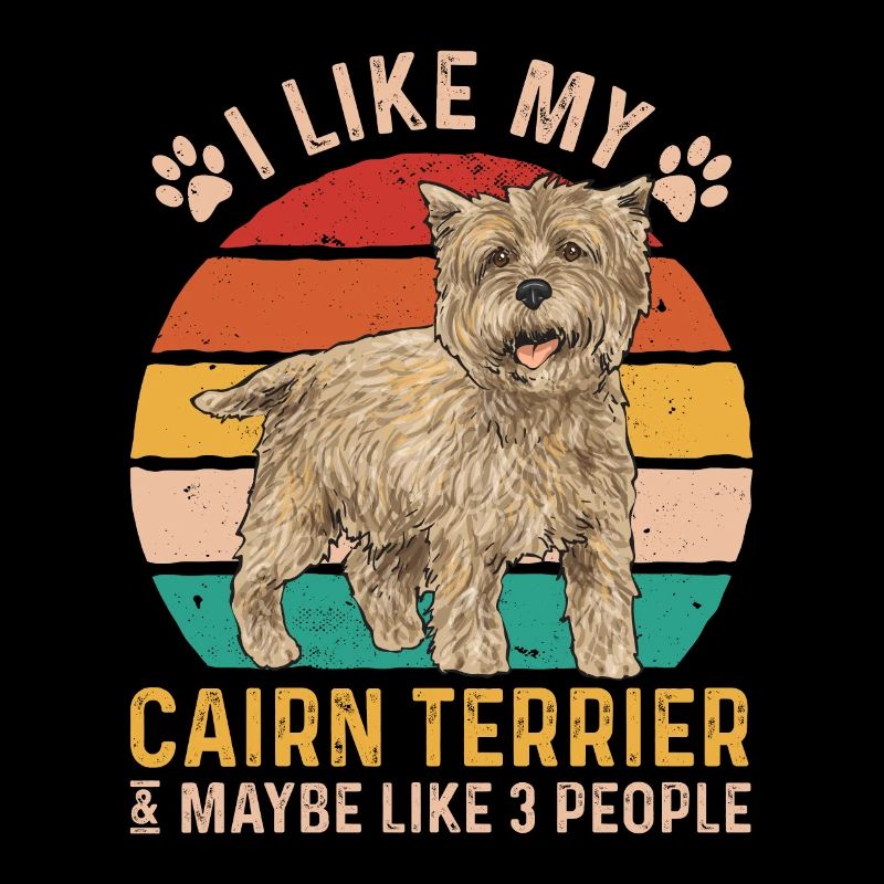 Cairn Terrier Chien