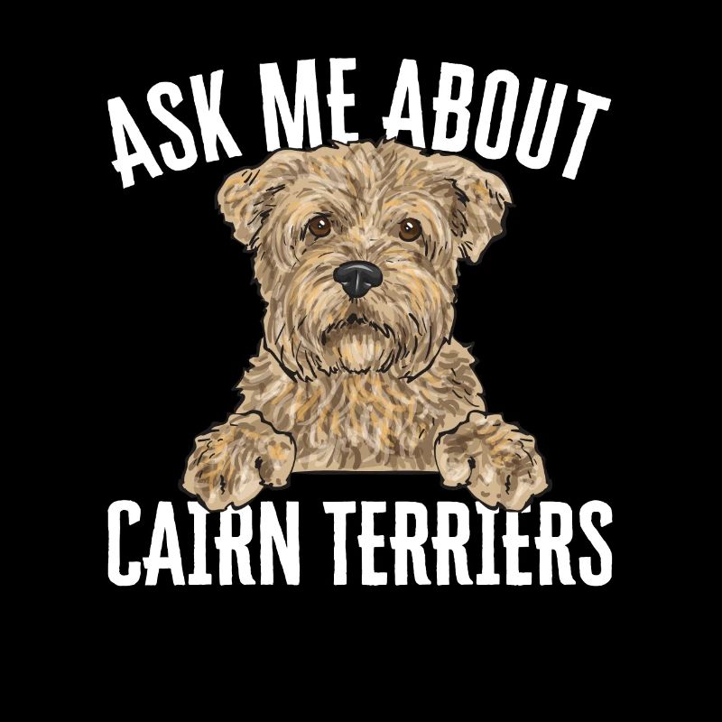 Cairn Terrier Hund
