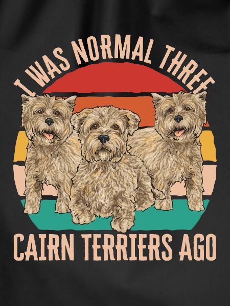 Cairn Terrier Dog
