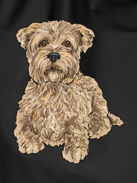 Cairn Terrier Dog