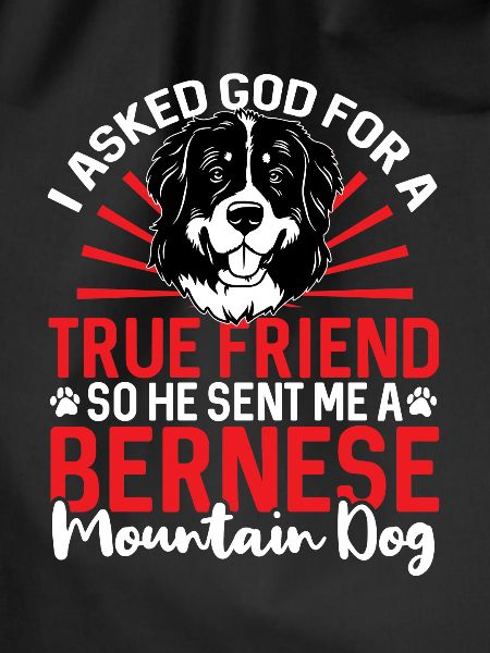 Bernese Mountain Dog