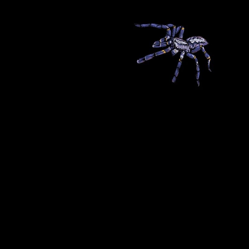 Tarantula I Tarantula Terrarium motif for