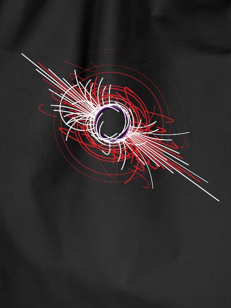 Future physicist particle