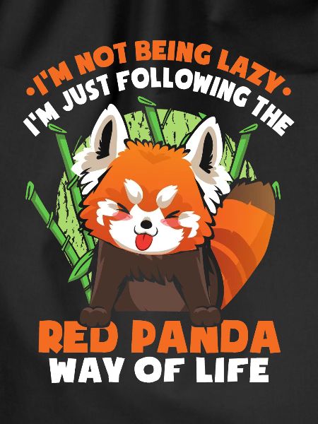 I'm Not Being Lazy