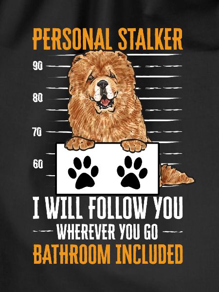 Chow Chow Dog