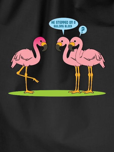 Flamingo Joke