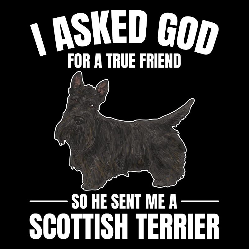 Scottish Terrier Scottie Hund