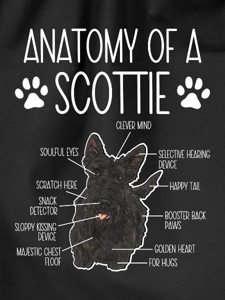 Scottish Terrier Scottie Dog