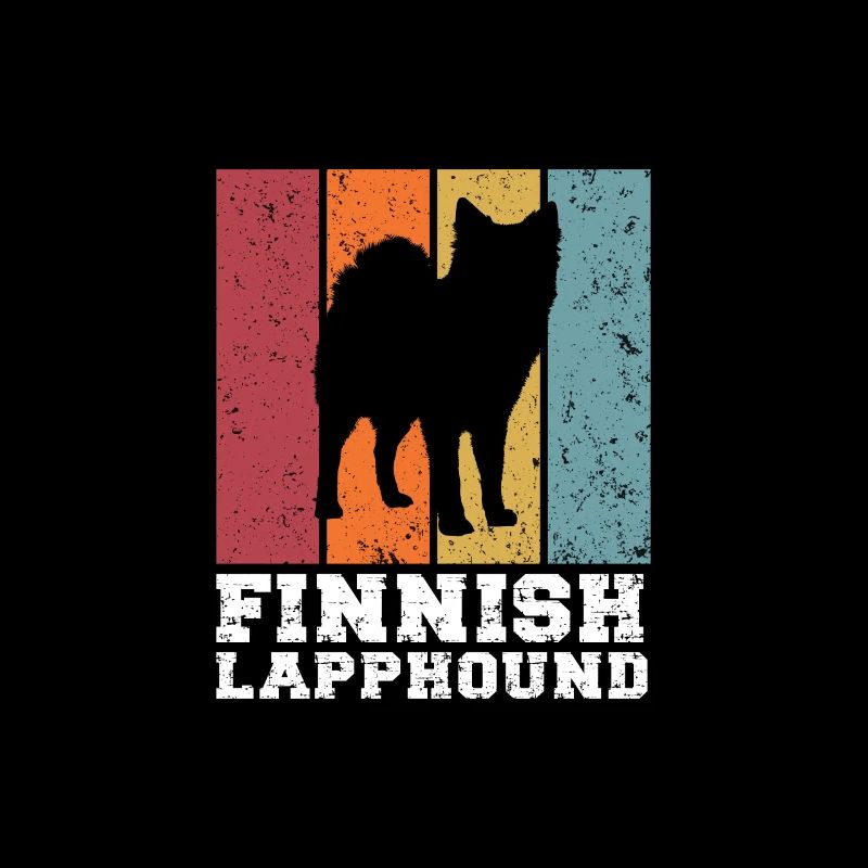 Finnischer Lapphund