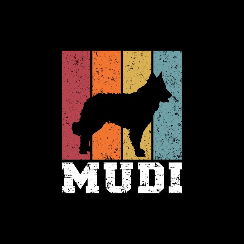 Mudi
