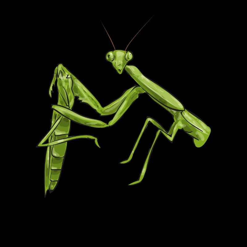 Praying mantis, insect collector, entomologist