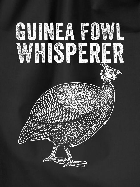 Guinea fowl