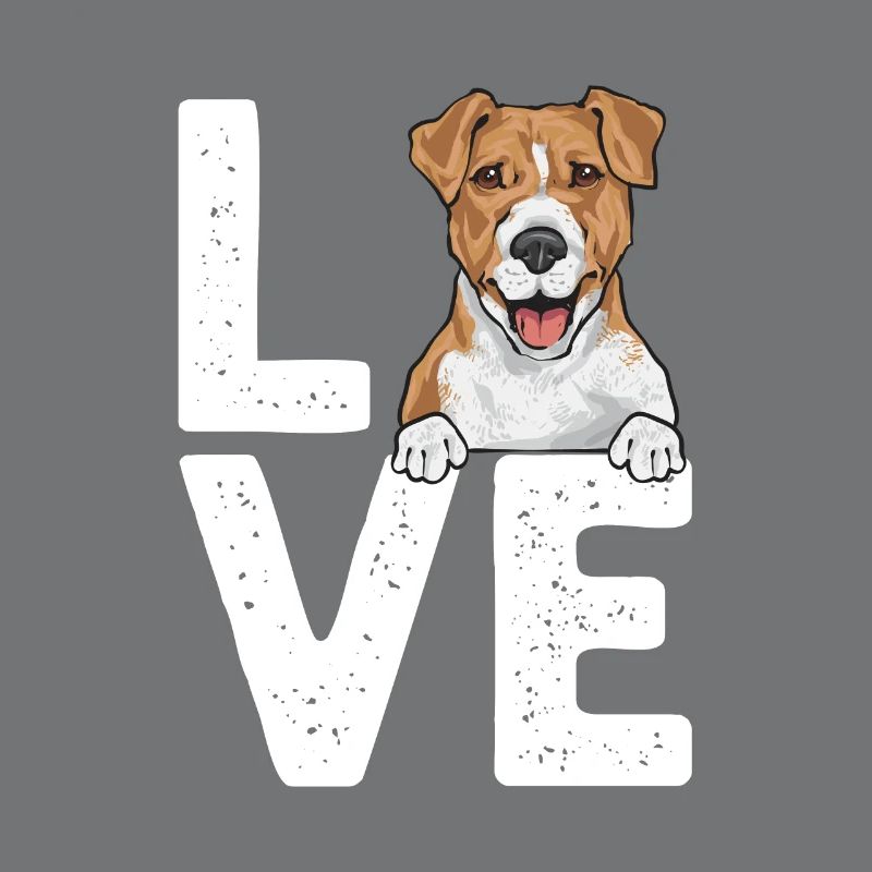 Jack Russell Terrier
