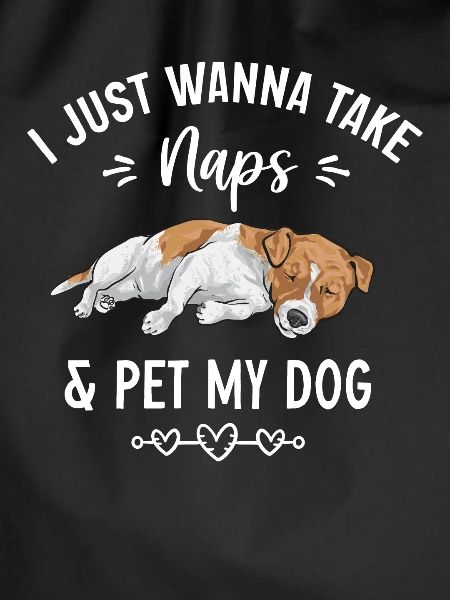 Jack Russell Terrier