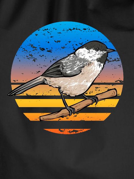 Bird Chickadee Bird Watching
