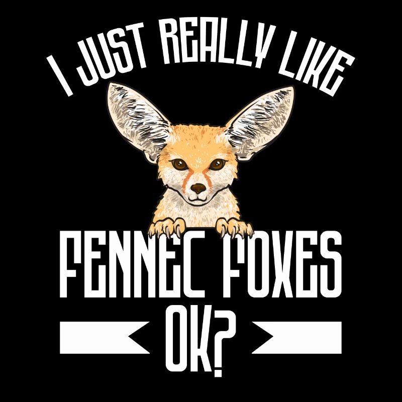Fennek Fox Fennec Fox Desert Fox
