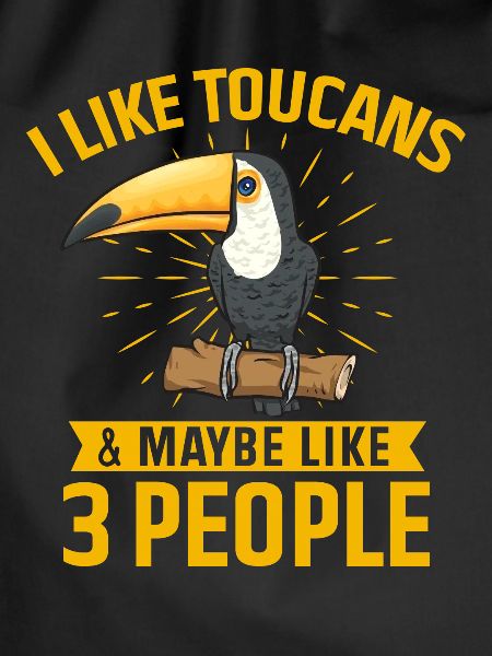 Toucan Bird Rainforest