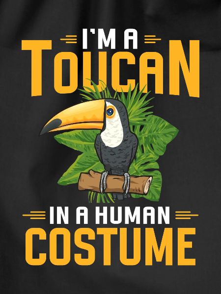 Toucan Bird Rainforest