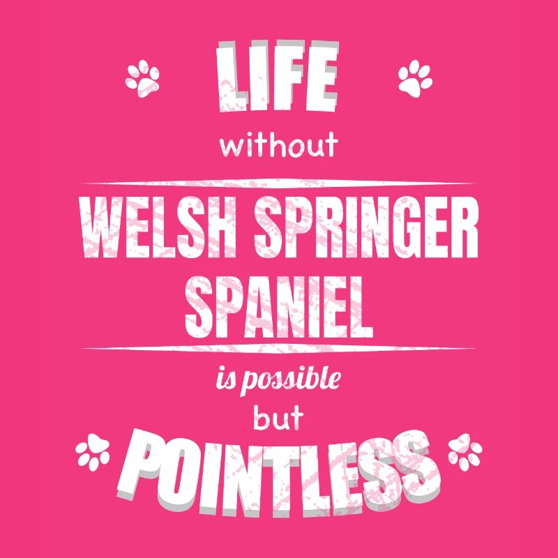 Life possible pointless - Welsh Springer Spaniel
