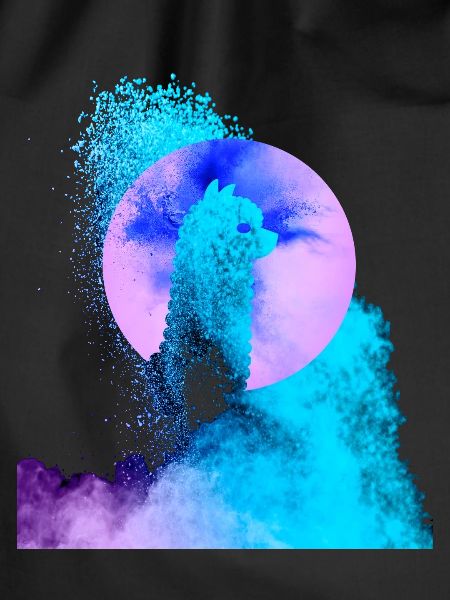 Abstract Alpaca