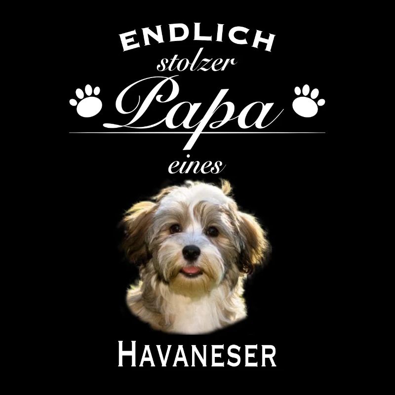 Endlich stolzer Papa - Havaneser