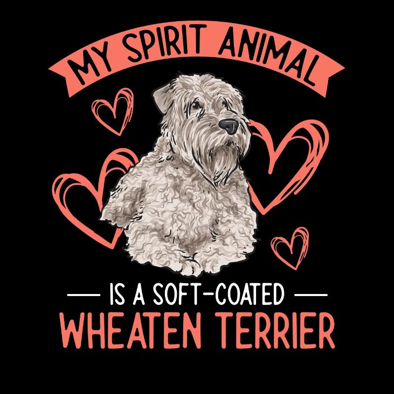 Terrier irlandais à enrobage doux