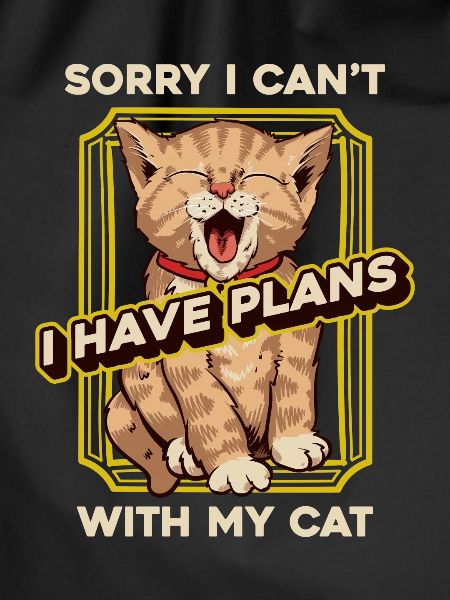 Katze