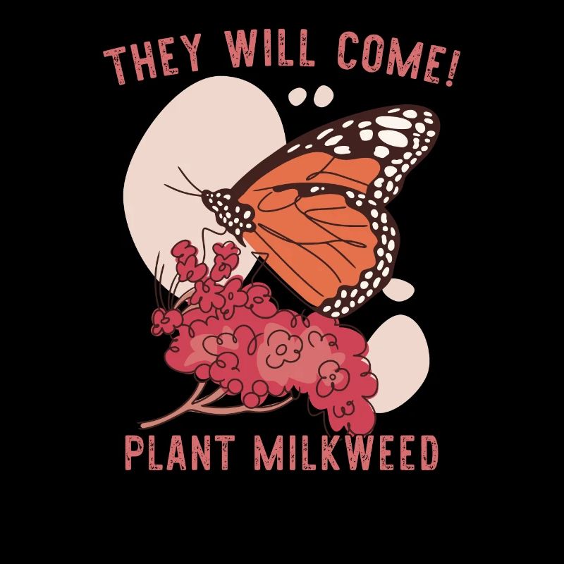 Monarque Papillon Asclépiade