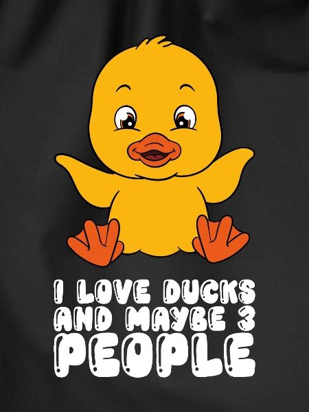 Funny duck Cute ducks