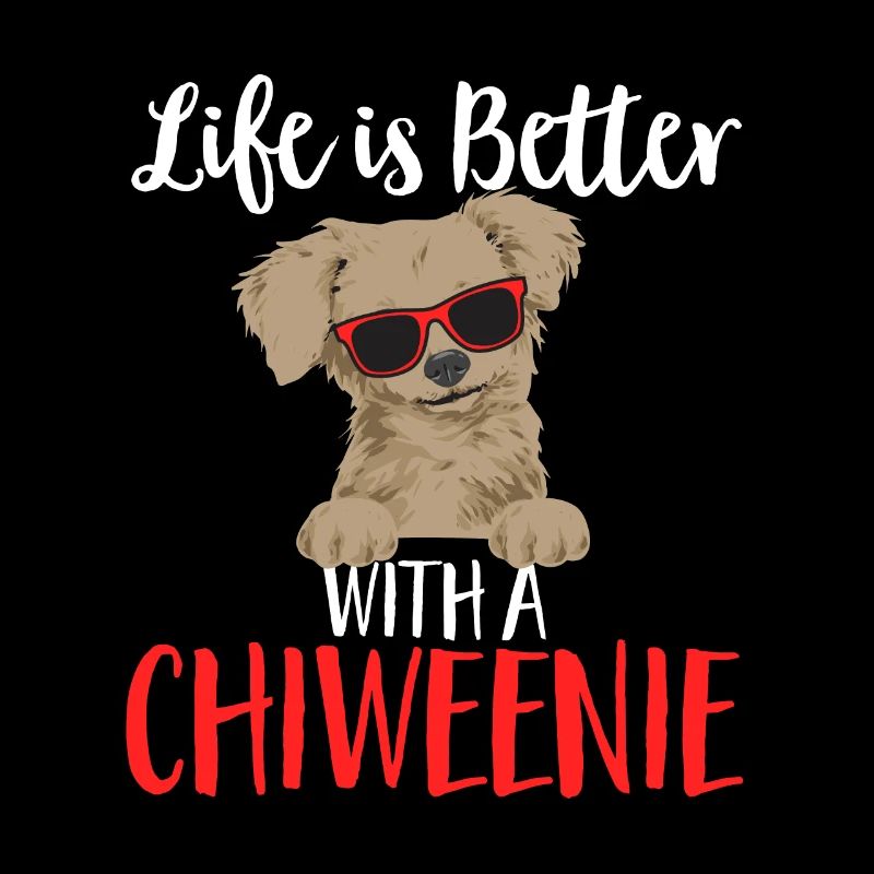 Chiweenie Dog