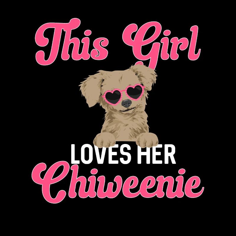 Chiweenie Dog