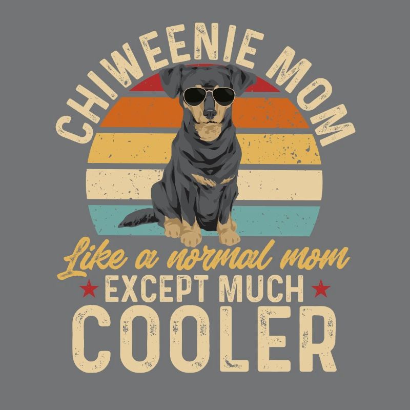 Chiweenie Dog