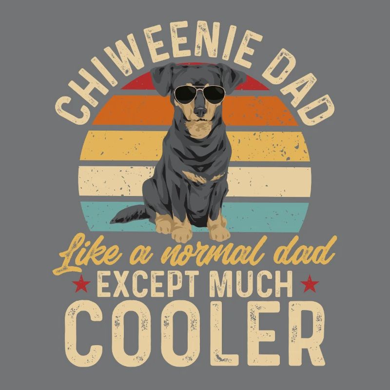 Chiweenie Dog