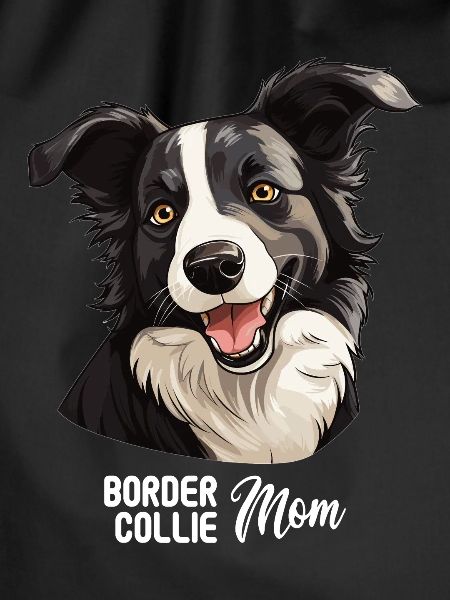 Hund Border Collie
