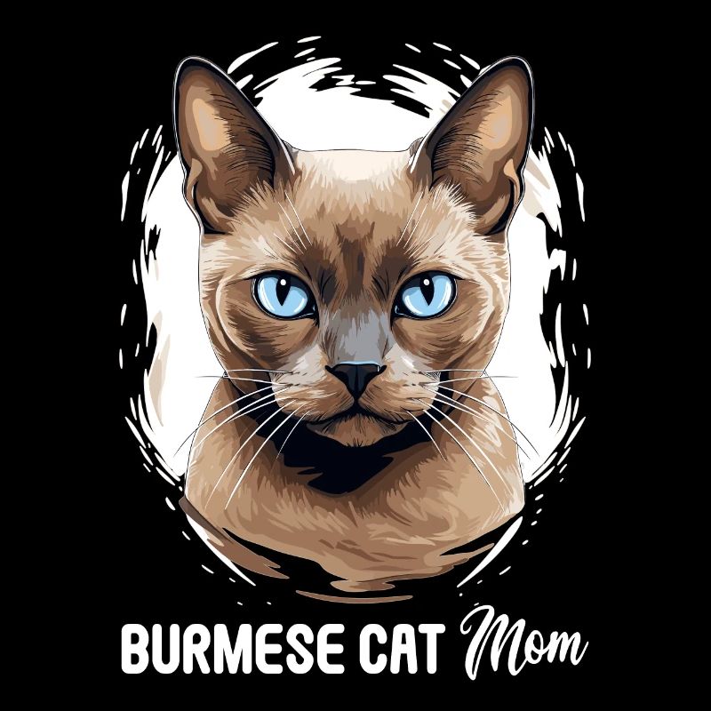 Chat birman Birmanie Katze