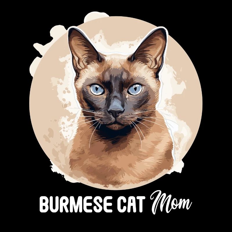 Burmese Cat Burma Katze