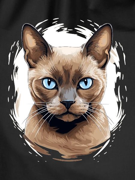 Burmese Cat Burma Katze
